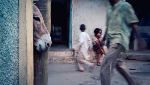 A donkey peeks around a corner in a busy street scene with two blurred pedestrians and a seated child near a building.